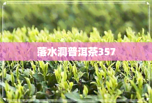 落水洞普洱茶357