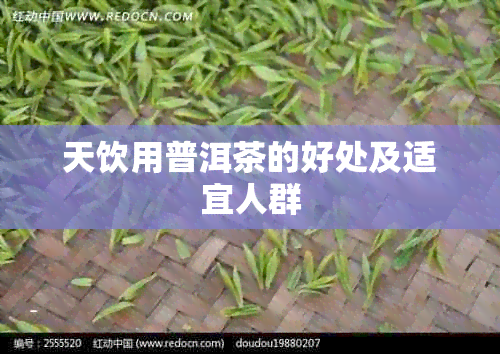 天饮用普洱茶的好处及适宜人群