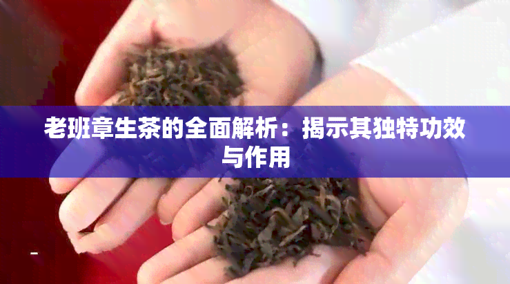 老班章生茶的全面解析：揭示其独特功效与作用