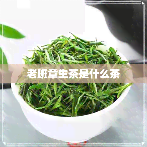 老班章生茶是什么茶