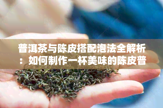 普洱茶与陈皮搭配泡法全解析：如何制作一杯美味的陈皮普洱茶