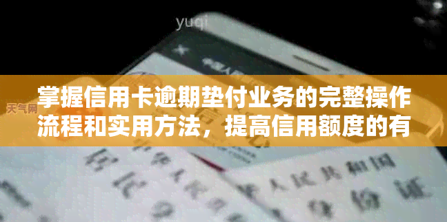 掌握信用卡逾期垫付业务的完整操作流程和实用方法，提高信用额度的有效资讯