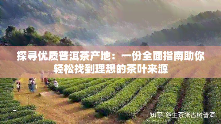 探寻优质普洱茶产地：一份全面指南助你轻松找到理想的茶叶来源