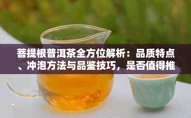 菩提根普洱茶全方位解析：品质特点、冲泡方法与品鉴技巧，是否值得推荐？