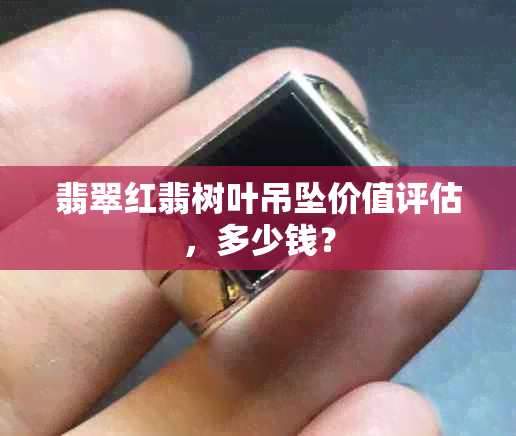 翡翠红翡树叶吊坠价值评估，多少钱？