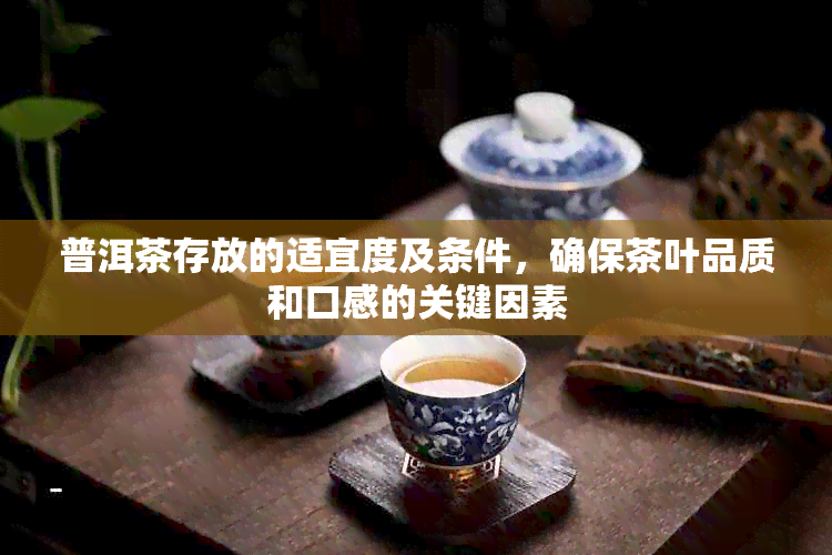 普洱茶存放的适宜度及条件，确保茶叶品质和口感的关键因素