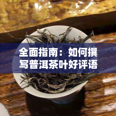 全面指南：如何撰写普洱茶叶好评语，满足用户搜索需求的全新方法！