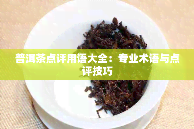 普洱茶点评用语大全：专业术语与点评技巧