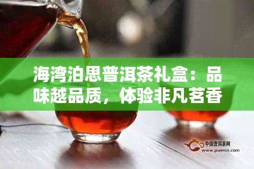 海湾泊思普洱茶礼盒：品味越品质，体验非凡茗香，尽享优雅生活