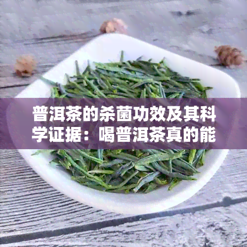 普洱茶的杀菌功效及其科学证据：喝普洱茶真的能杀死细菌吗？