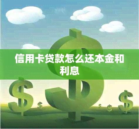 信用卡贷款怎么还本金和利息