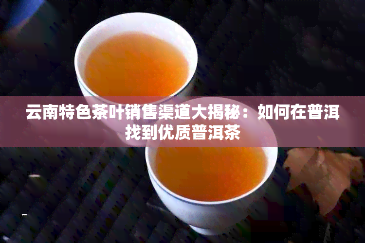 云南特色茶叶销售渠道大揭秘：如何在普洱找到优质普洱茶