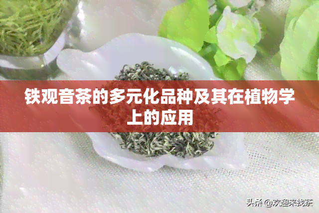 铁观音茶的多元化品种及其在植物学上的应用