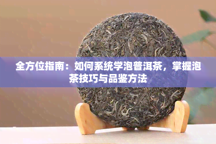 全方位指南：如何系统学泡普洱茶，掌握泡茶技巧与品鉴方法