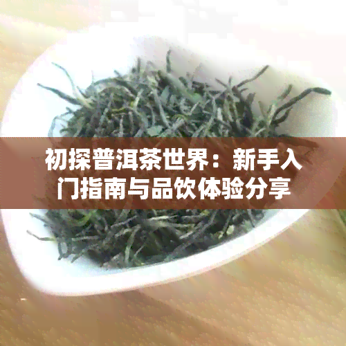 初探普洱茶世界：新手入门指南与品饮体验分享