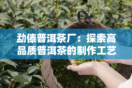 勐傣普洱茶厂：探索高品质普洱茶的制作工艺与故事