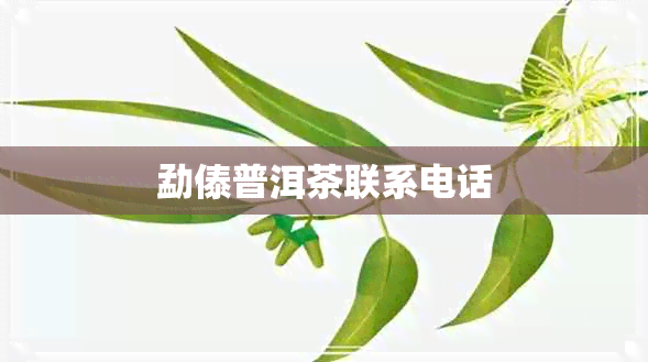 勐傣普洱茶联系电话