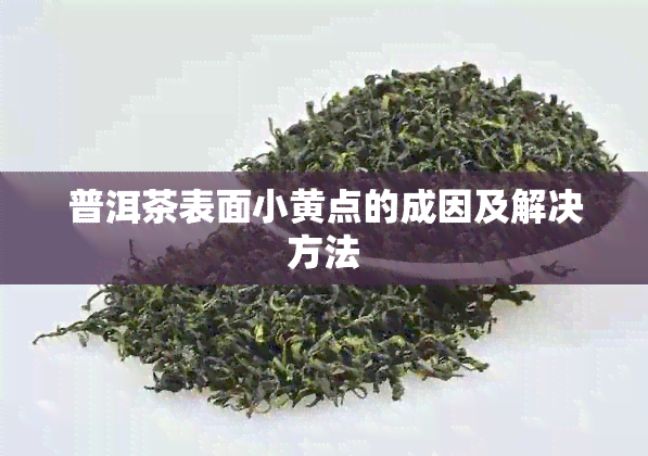 普洱茶表面小黄点的成因及解决方法