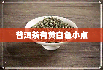 普洱茶有黄白色小点