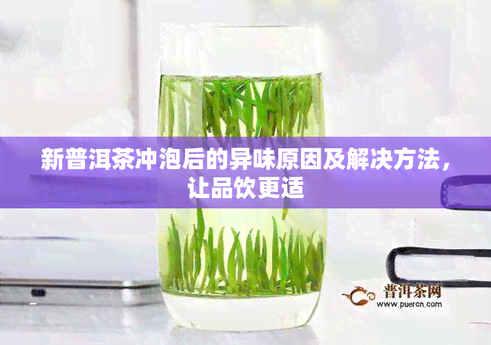 新普洱茶冲泡后的异味原因及解决方法，让品饮更适