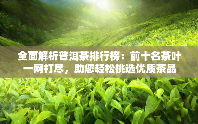 全面解析普洱茶排行榜：前十名茶叶一网打尽，助您轻松挑选优质茶品