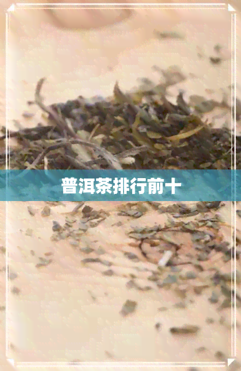 普洱茶排行前十