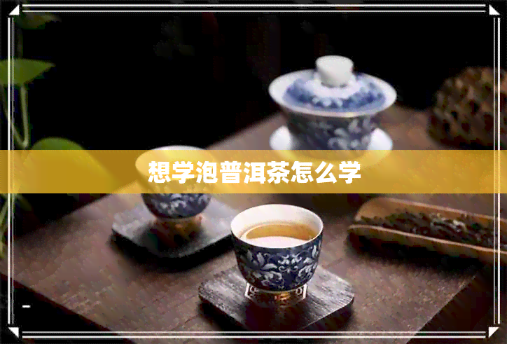 想学泡普洱茶怎么学