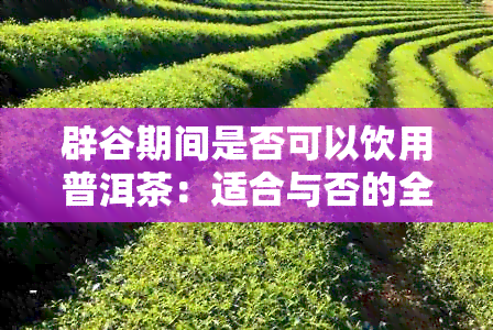 辟谷期间是否可以饮用普洱茶：适合与否的全面解析