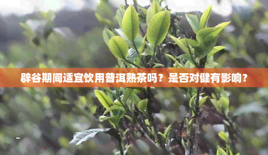 辟谷期间适宜饮用普洱熟茶吗？是否对健有影响？