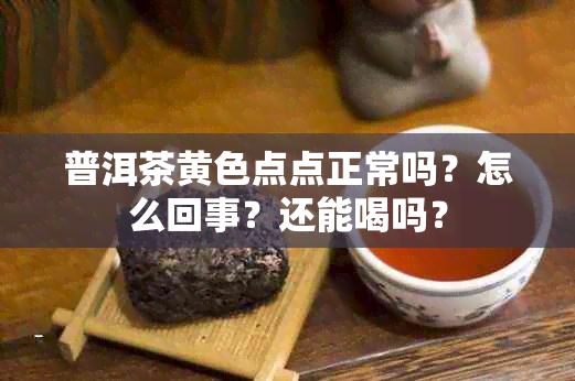 普洱茶黄色点点正常吗？怎么回事？还能喝吗？