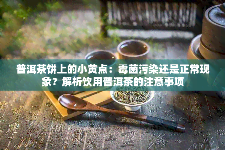 普洱茶饼上的小黄点：霉菌污染还是正常现象？解析饮用普洱茶的注意事项