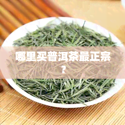 哪里买普洱茶最正宗？