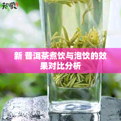 新 普洱茶煮饮与泡饮的效果对比分析