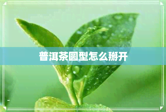 普洱茶圆型怎么掰开