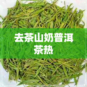 去茶山奶普洱茶热