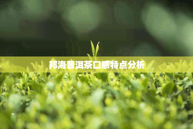 邦海普洱茶口感特点分析