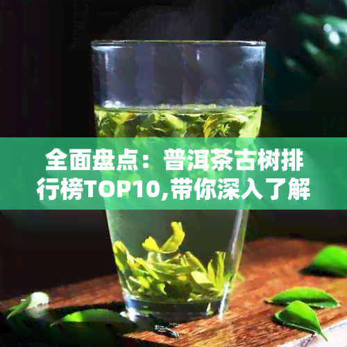 全面盘点：普洱茶古树排行榜TOP10,带你深入了解优质茶叶及选购指南