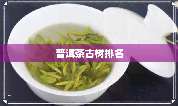 普洱茶古树排名