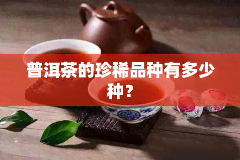 普洱茶的珍稀品种有多少种？