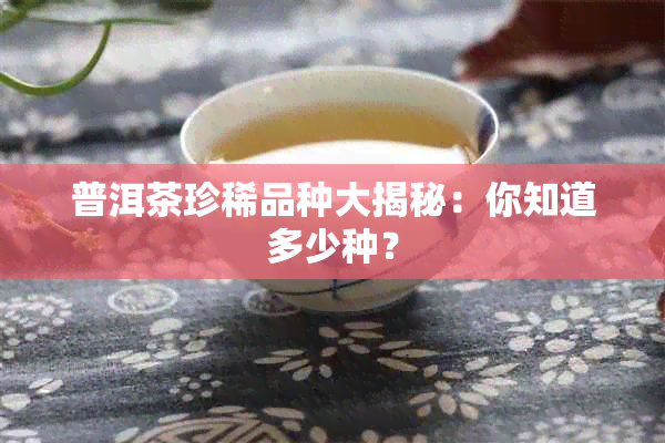 普洱茶珍稀品种大揭秘：你知道多少种？