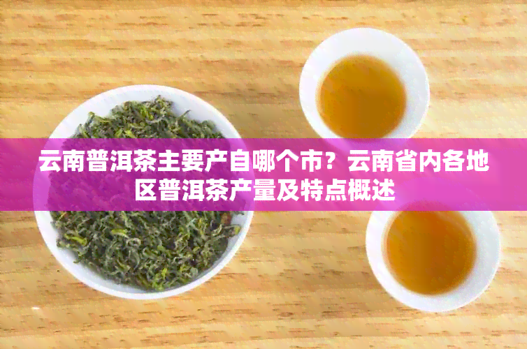 云南普洱茶主要产自哪个市？云南省内各地区普洱茶产量及特点概述