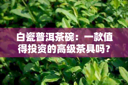 白瓷普洱茶碗：一款值得投资的高级茶具吗？