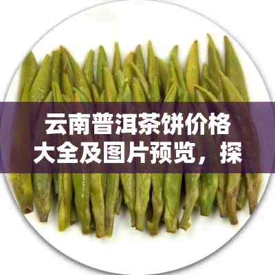 云南普洱茶饼价格大全及图片预览，探索邦海普洱茶的价值与魅力