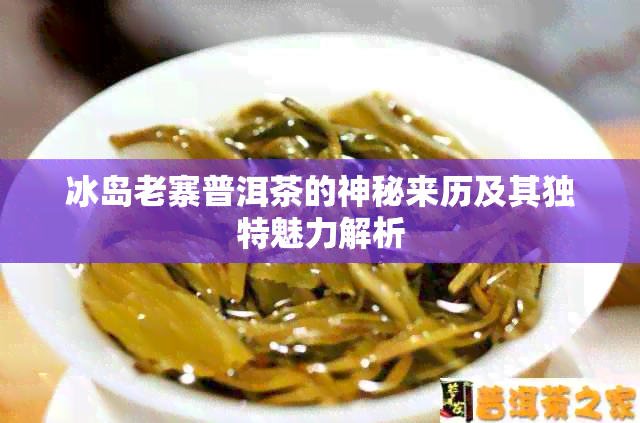 冰岛老寨普洱茶的神秘来历及其独特魅力解析