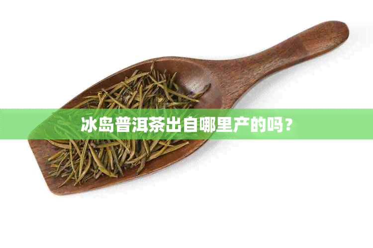 冰岛普洱茶出自哪里产的吗？