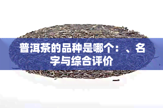 普洱茶的品种是哪个：、名字与综合评价