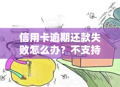 信用卡逾期还款失败怎么办？不支持还呗的解决方法一览