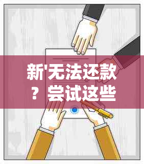 新'无法还款？尝试这些解决方案！——还呗用户必看'