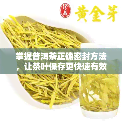 掌握普洱茶正确密封方法，让茶叶保存更快速有效