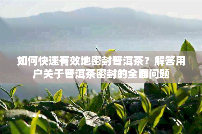 如何快速有效地密封普洱茶？解答用户关于普洱茶密封的全面问题